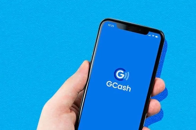 Investigation into loan, sale of mobile wallet accounts sought
