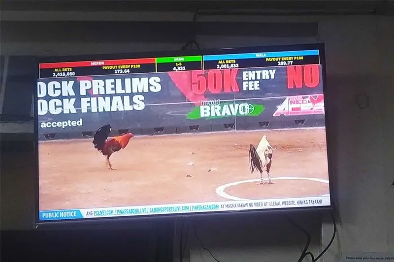Kapalaran ng e-sabong ipinauubaya ng DOJ sa Kongreso